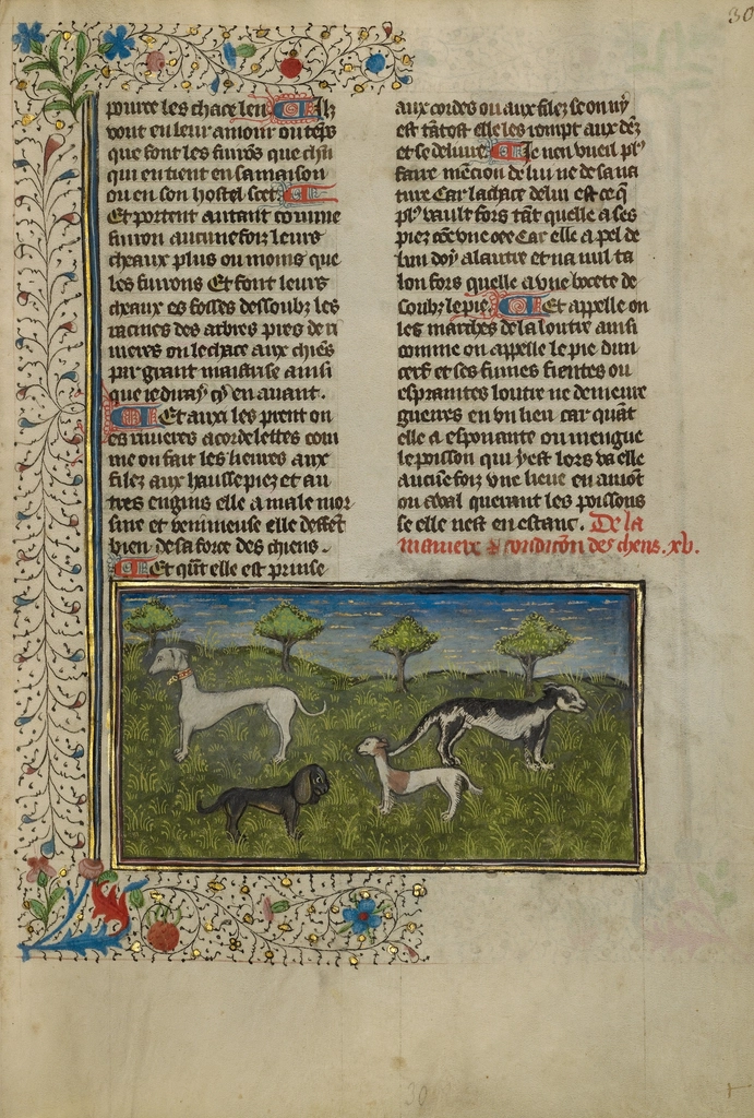 Medieval manuscript with pastoral scene