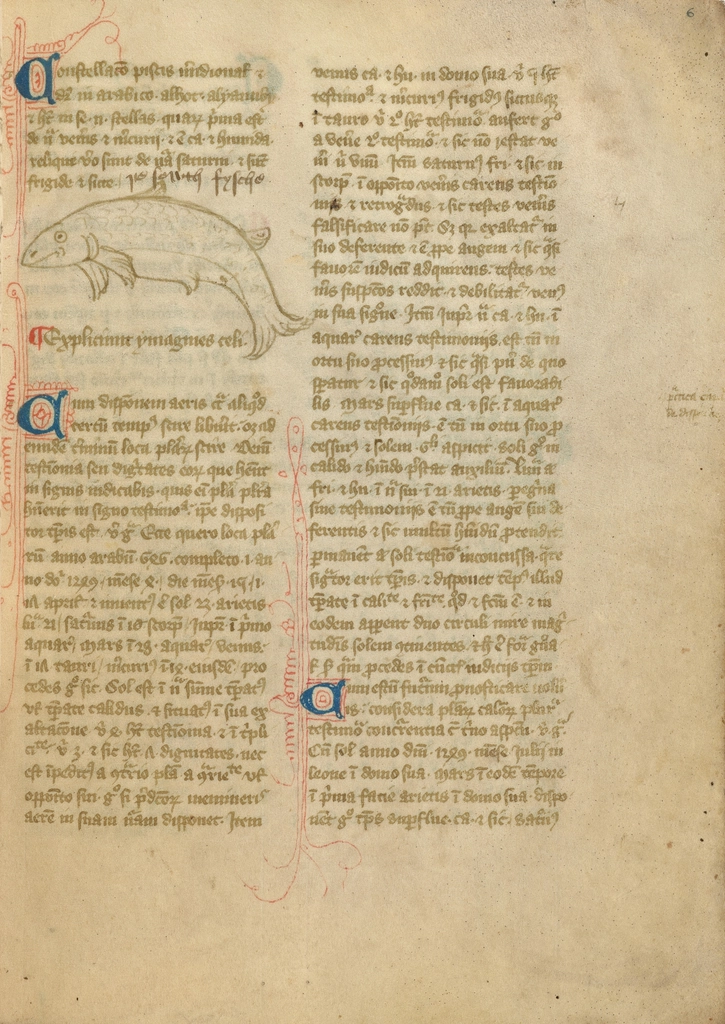 Medieval manuscript with fish