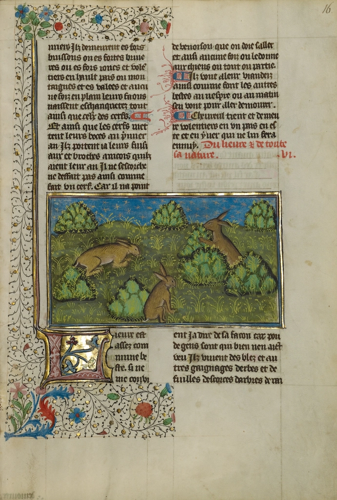 Medieval manuscript with hunting scene