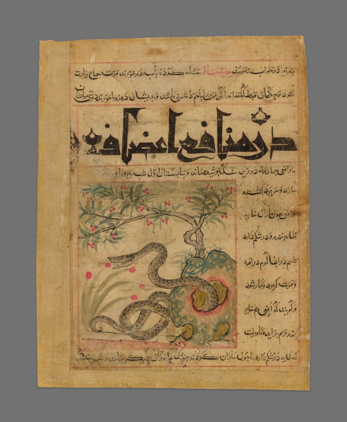 Viper in a Rocky Garden from Manafi' al-Hayawan (On the Usefulness of…