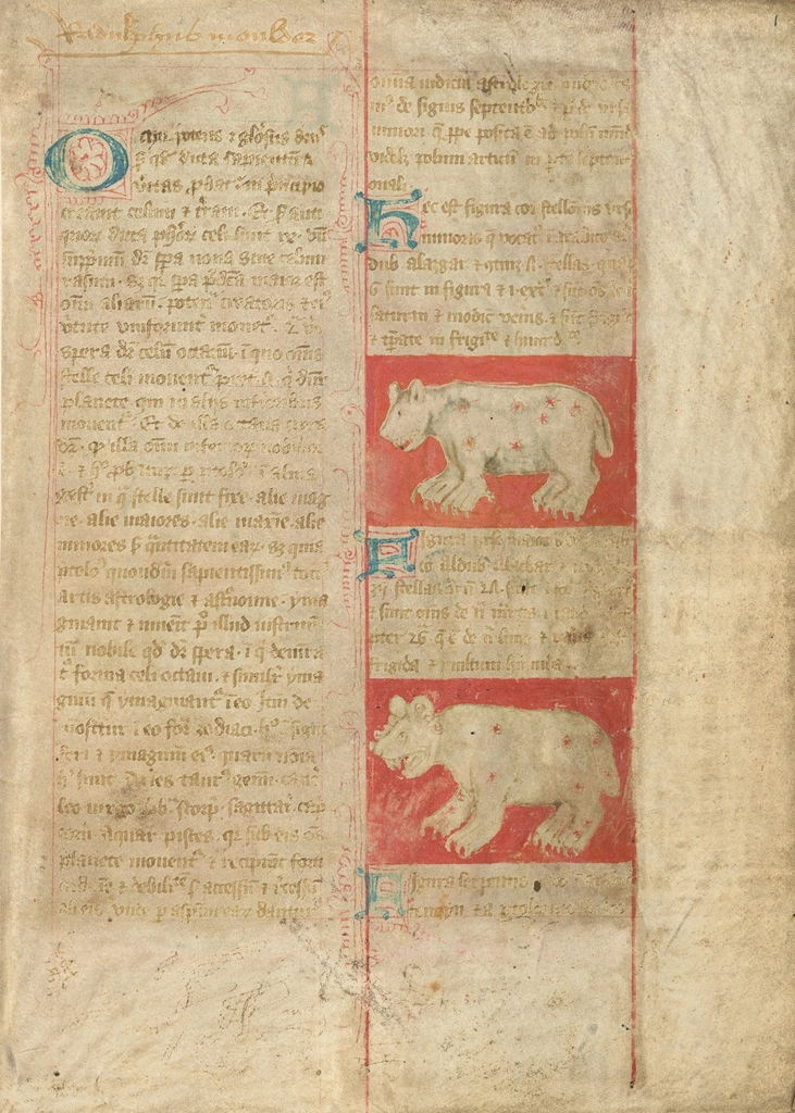 Medieval manuscript with animal illustrations
