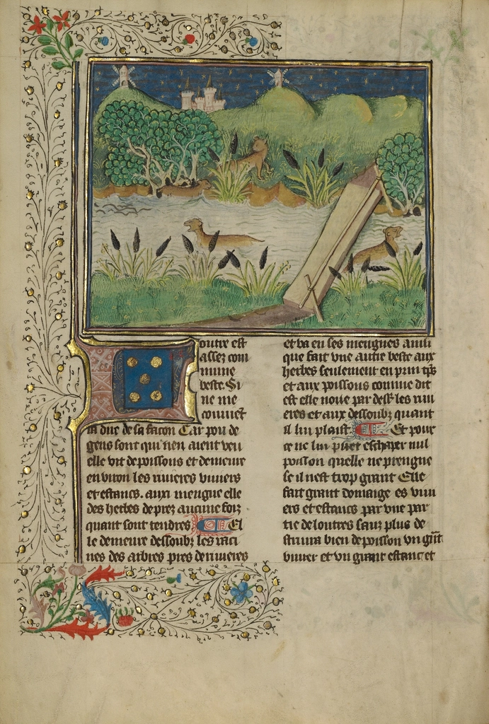 Medieval manuscript nature scene