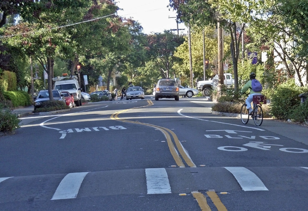 Bicycle boulevard 1