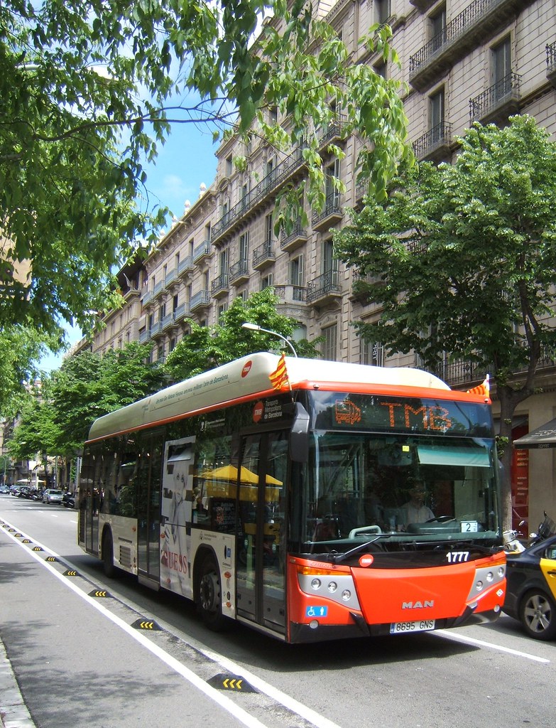 Diada de Sant Jordi
