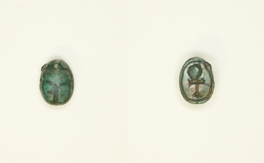 scarab: hieroglyph (ankh sign)
