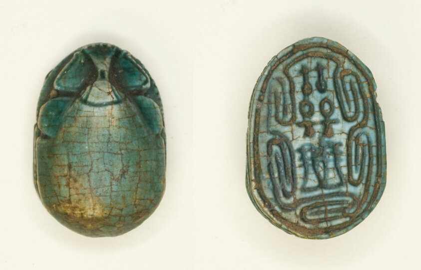 scarab: hieroglyphs (nfr-signs, anx-signs, dd-signs)