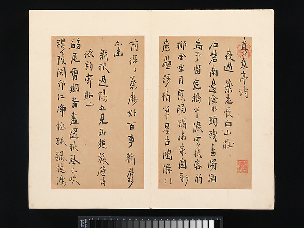 poems from the pavilion of true meaning