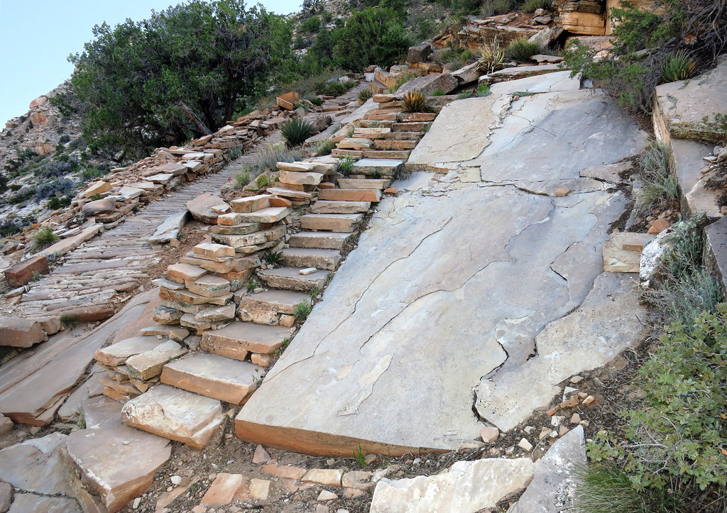 Grand Canyon National Park: Hermit Trail: Fossil Exhibit 3655