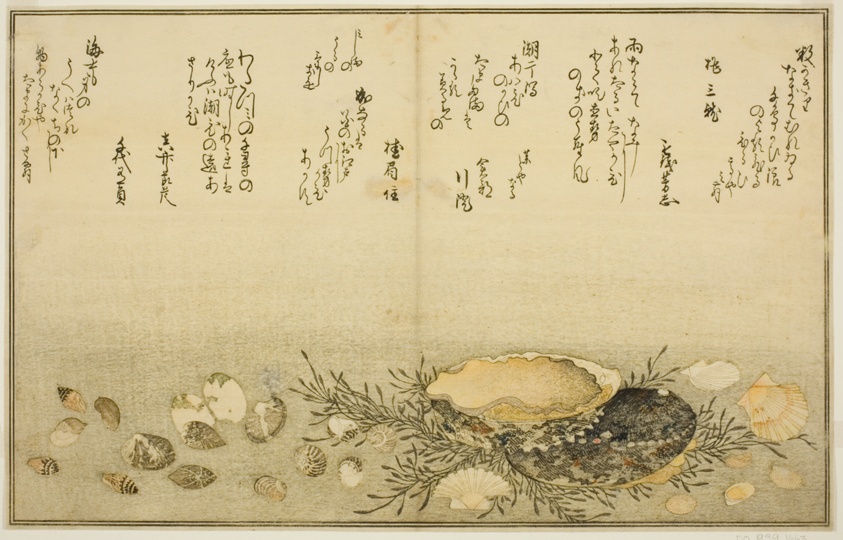 chidori-gai, itaya-gai, awabi, utsuse-gai, asari-gai, and monoara-gai, from the illustrated book "gifts…