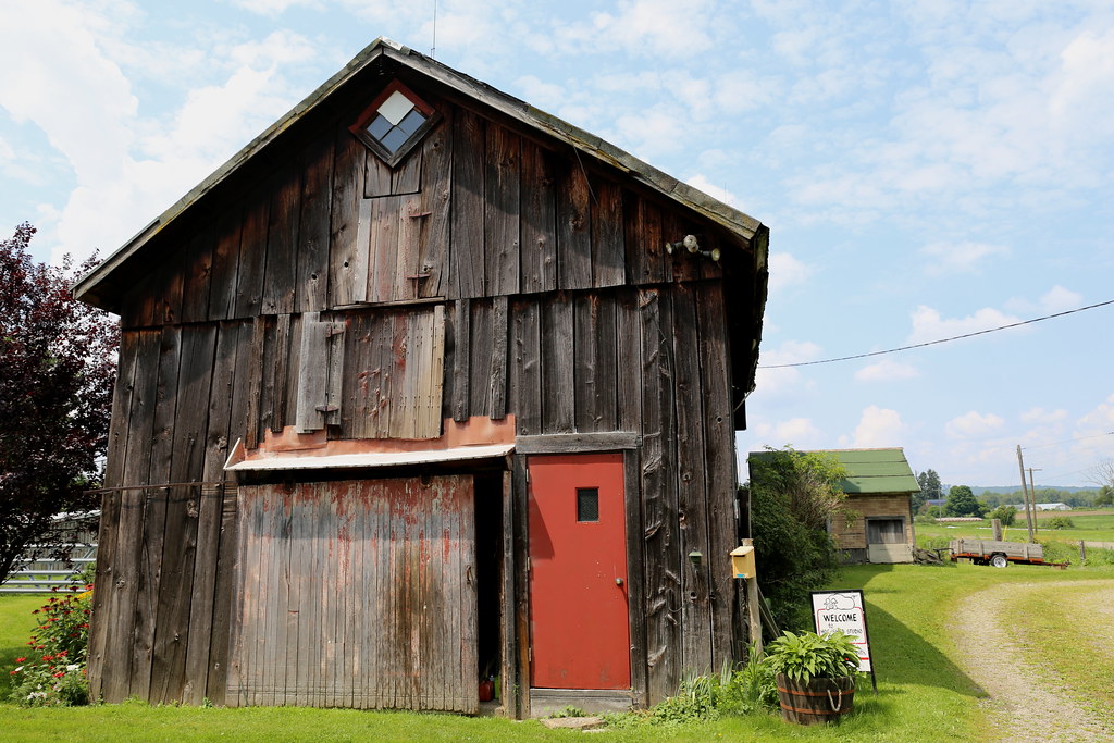 hog-shed studio pottery