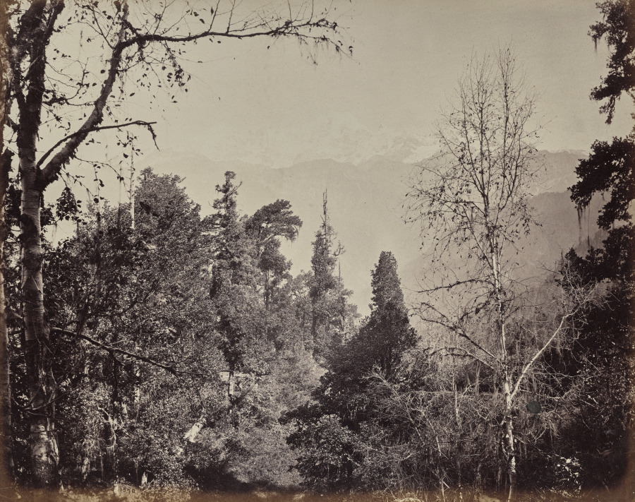 The Upper Himmalayahs. View of the Mountain of Bunderpoonch with the Jumnootri…