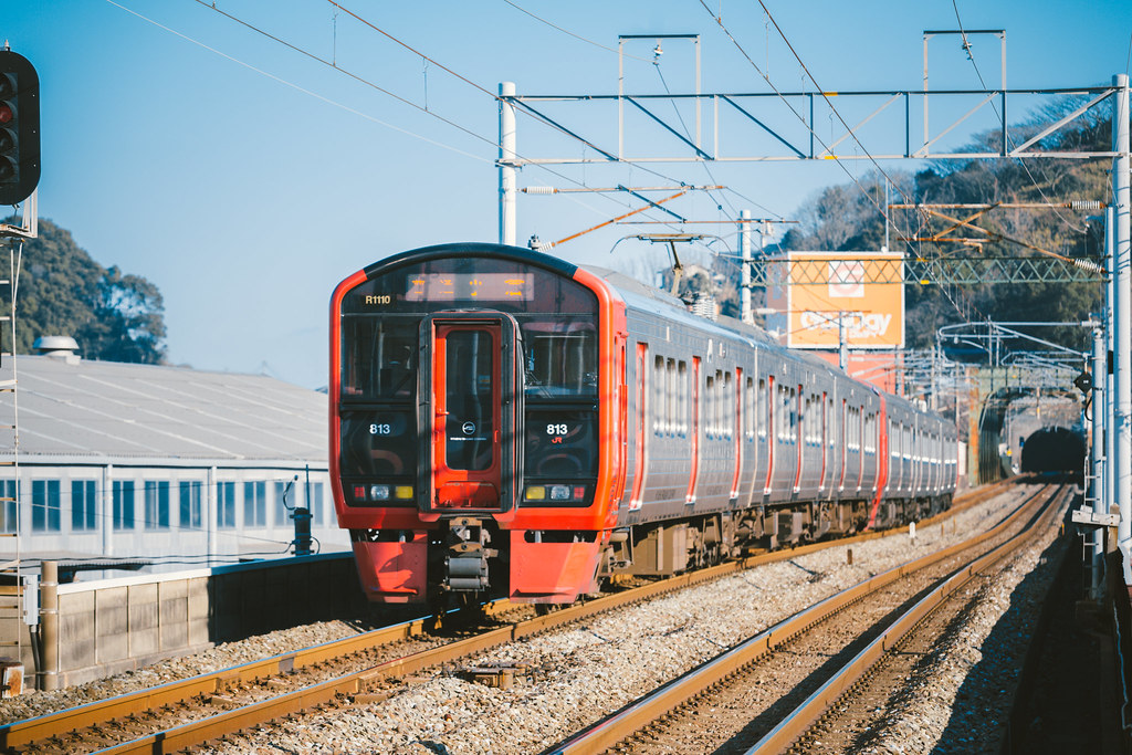 813-1100 Series_RM1110_1