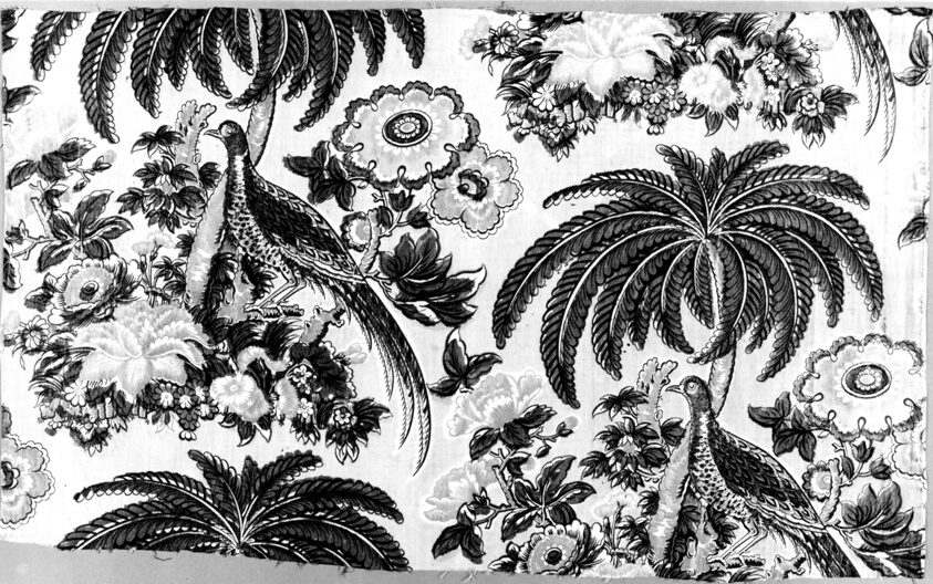 Panel